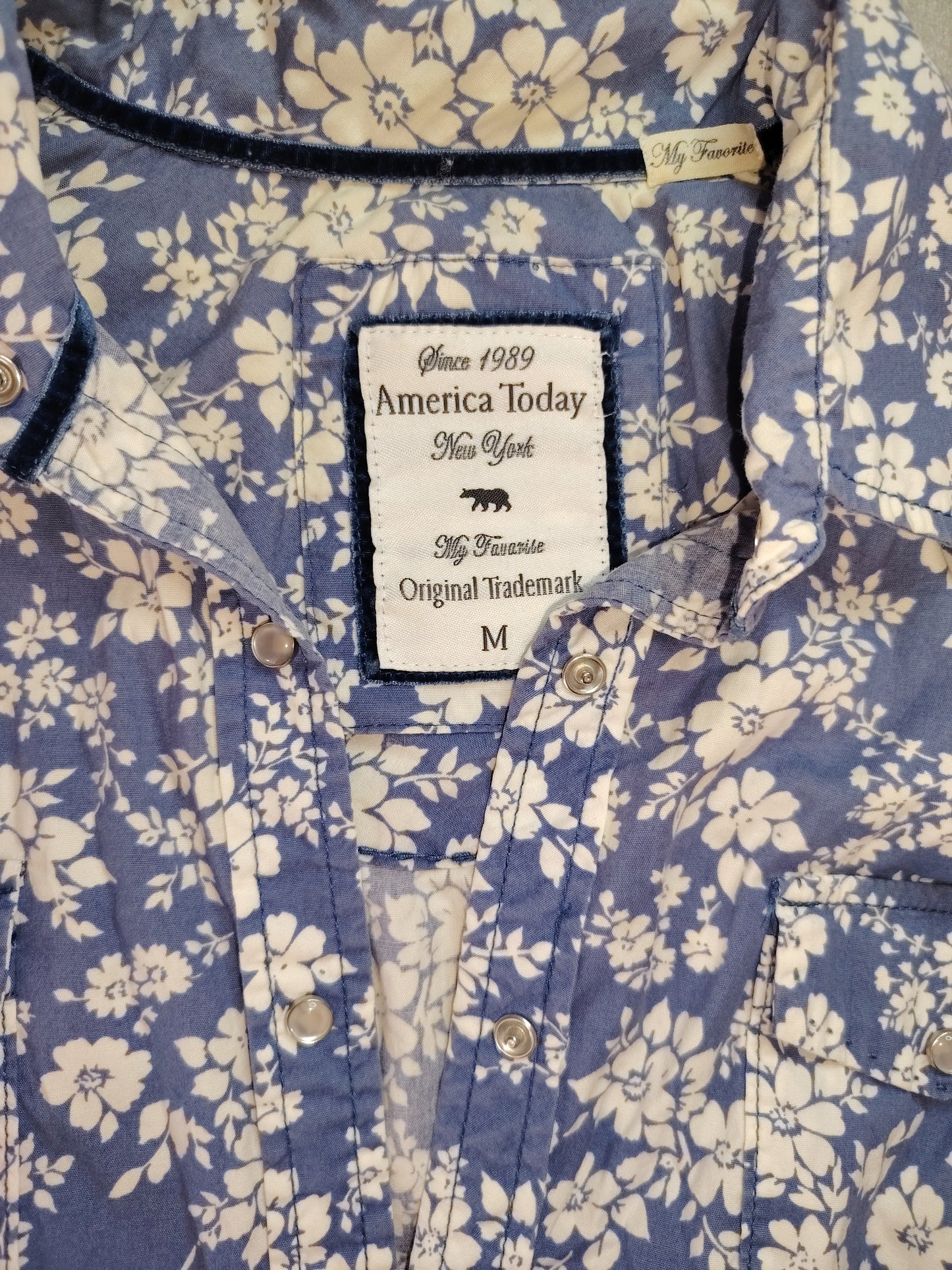 Chemise vintage